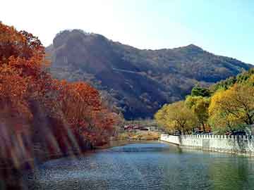 天天彩好彩天天免费，莆田seo排名